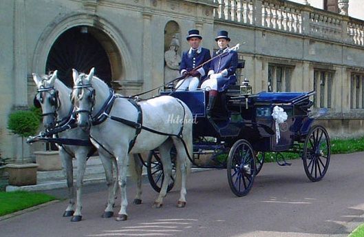 Elegant Carriages